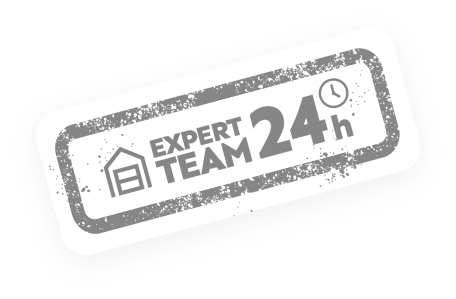 expert team badge